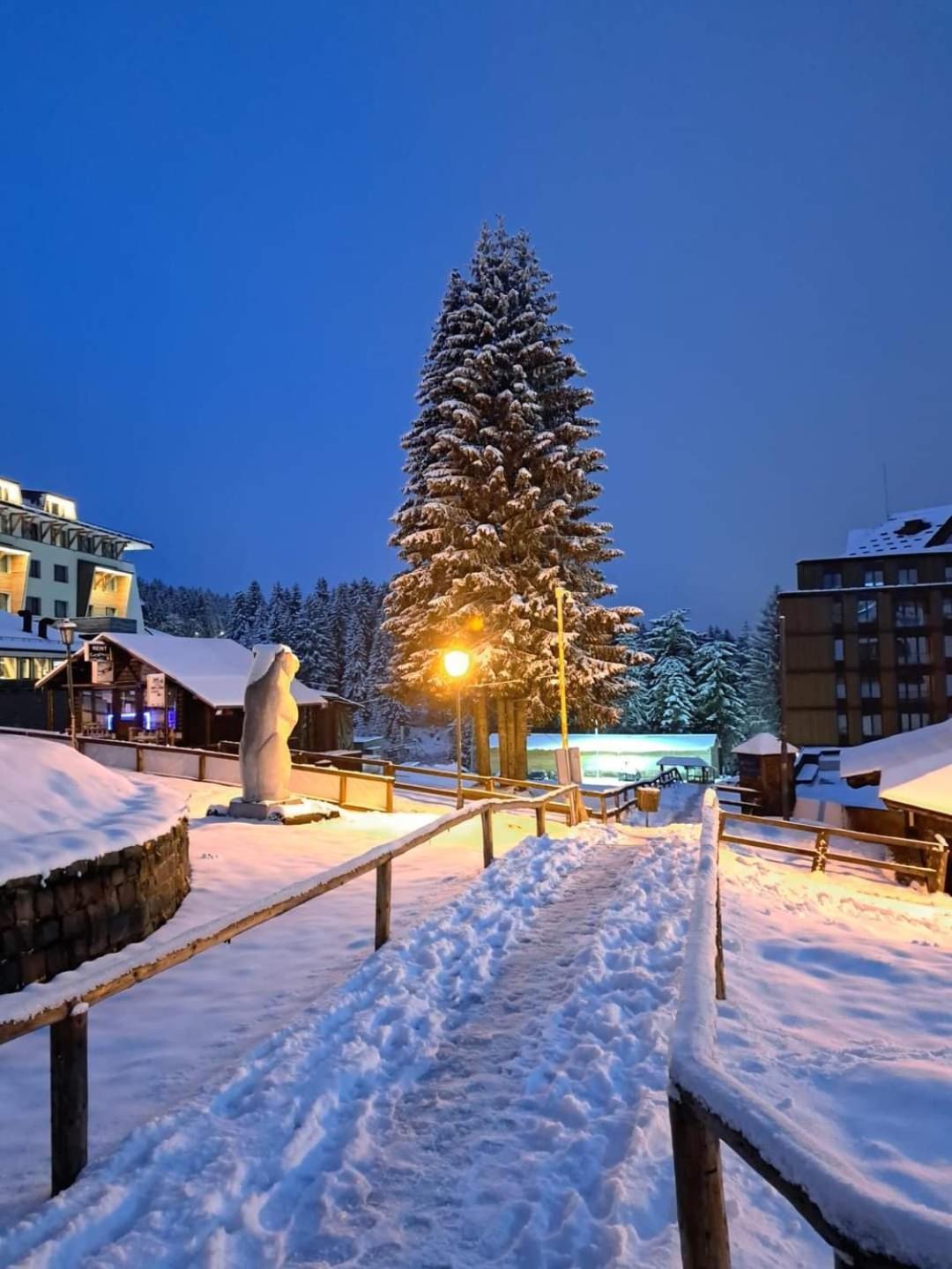 Apartament Milmari S30 Kopaonik Zewnętrze zdjęcie